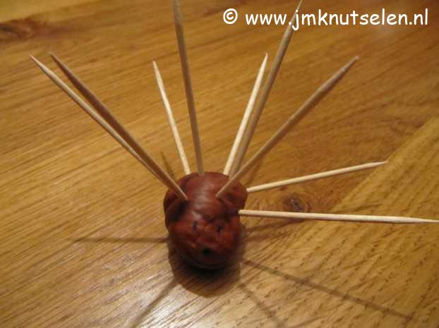 Egel kastanje