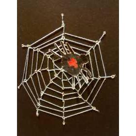 Spinnenweb borduren