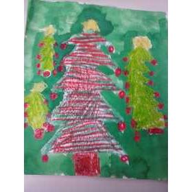 Kerstboom wasco en ecoline