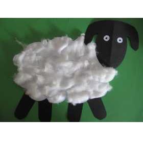 Schaap met watten