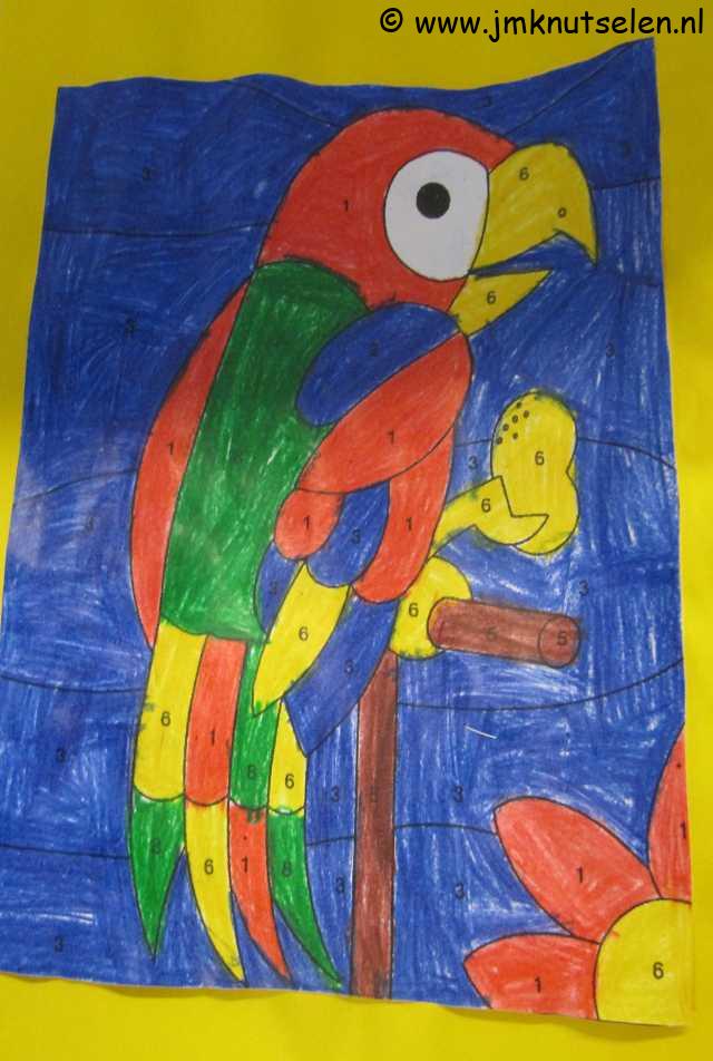 Kleuren op cijfer papegaai