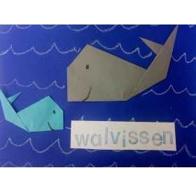 Walvis vouwen 2